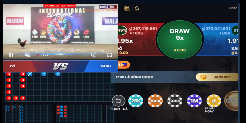 Đá gà Vin777 1 Đá gà Vin777 tham gia bất cứ khi nào bạn muốn