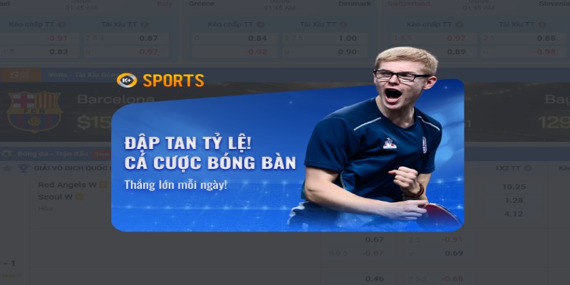 Thể thao Vin777 2 Hệ thống bình luận viên chuyên nghiệp giúp người chơi hiểu rõ về trận đấu